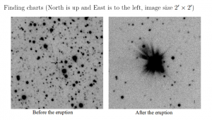 The nova system before the eruption and in outburst