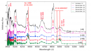 A sample of the SALT high resolution spectroscopy