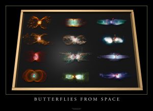 Butterflies from Space