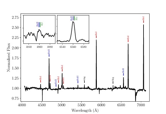 Low-resolution optical spectrum of [HP99] 159